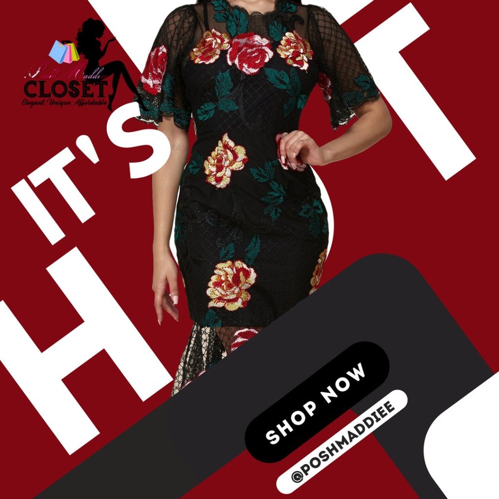 H.P. ⭐NWT -ELEGANT EMBROIDERED FLORAL LACE DRESS - Picture 2 of 8